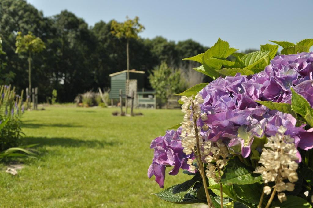 il Bed and Breakfast De Logerie Enkhuizen Esterno foto